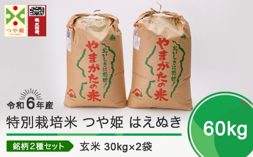 新米 令和6年11月下旬発送 つや姫 はえぬき 各30kg 計60kg 玄米 令和6年産 ja-thgxb60-11s