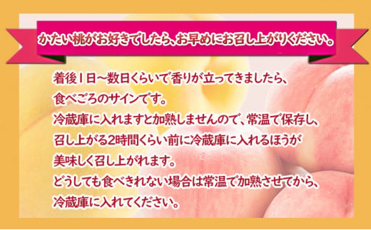 桃 約5kg 3種お任せ あかつき なつっこ 黄金桃 果物 もも 3種類 白桃 黄桃 産地直送 長野県 小諸市[№5915-1114]