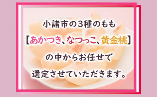 桃 約5kg 3種お任せ あかつき なつっこ 黄金桃 果物 もも 3種類 白桃 黄桃 産地直送 長野県 小諸市[№5915-1114]