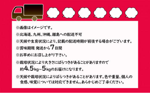 桃 約5kg 3種お任せ あかつき なつっこ 黄金桃 果物 もも 3種類 白桃 黄桃 産地直送 長野県 小諸市[№5915-1114]