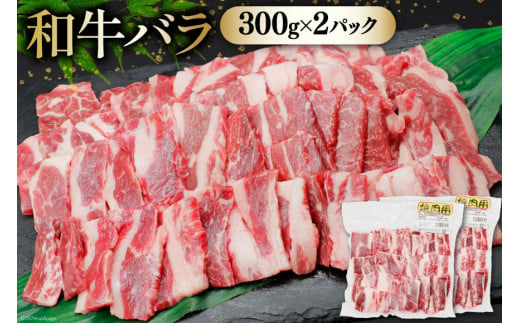 肉 セット バーベキュー 宮崎県産 牛 豚 1.8kg [甲斐精肉店 宮崎県 美郷町 31as0071] バーベキューセット BBQ 冷凍 小分け 牛肉 豚肉 牛バラ 豚バラ ロース BBQ食材セット