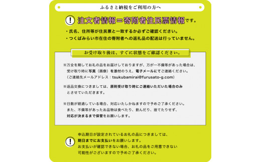 小玉すいか2玉【令和4年6月から順次お届け】田舎の頑固おやじが厳選！