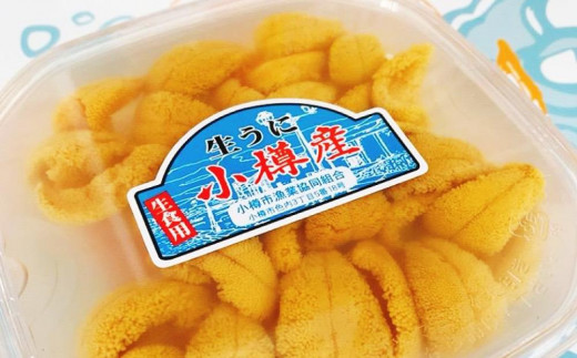 小樽産 ムラサキウニ  塩水生ウニ 100g×4パック 合計約400g