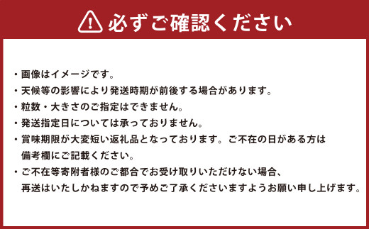 博多あまおう（冬）4パック