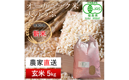 【令和6年産・新米】南相馬・根本有機農園のJAS有機米天のつぶ5kg（玄米）