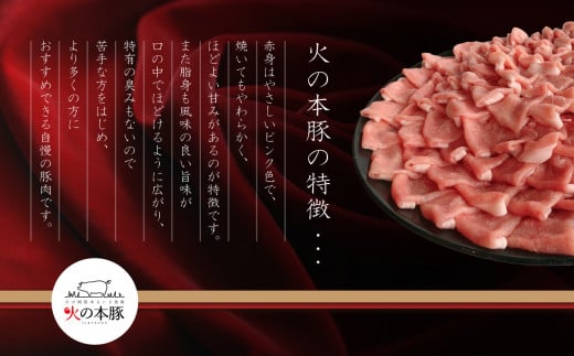 【定期6回発送】火の本豚 詰め合わせセット 切り落とし550g しゃぶしゃぶ用ロース300g あらびきウインナー10本入 チョリソーウィンナー10本