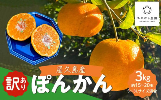 【先行予約】訳あり 家庭用 屋久島産ぽんかん 3kg（S〜3Lサイズ混合・約15〜20玉）