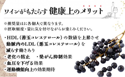 七戸山ぶどうワイン　720ml×2本 【完熟 葡萄 ブドウ 山ぶどう ワイン 甘口ワイン 無添加 青森県 贈り物 贈答 ギフト プレゼント 美容 健康】　【02402-0154】