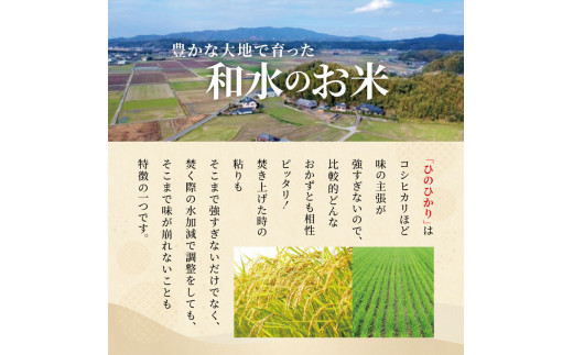 【定期便3回】こめ屋オリジナルブレンド 菊池川流域米 10kg | 熊本県 和水町 くまもと なごみまち なごみ 白米 複数原料米 ブレンド米 菊池川 定期便 3回 定期