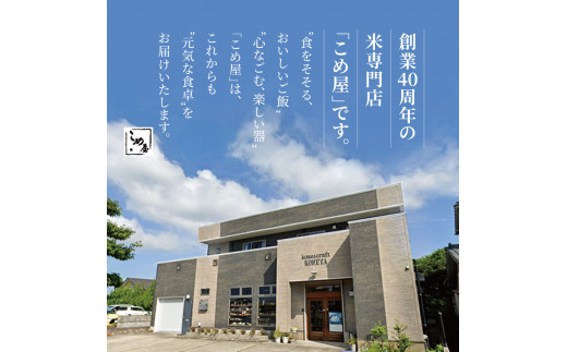 【定期便3回】こめ屋オリジナルブレンド 菊池川流域米 10kg | 熊本県 和水町 くまもと なごみまち なごみ 白米 複数原料米 ブレンド米 菊池川 定期便 3回 定期