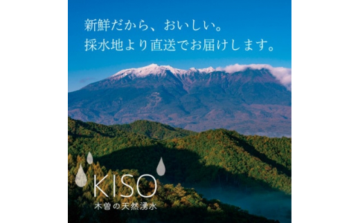 ミネラルウォーター「木曽の天然湧水KISO」280ml(40本) ウォーターツリーボトル【1448192】