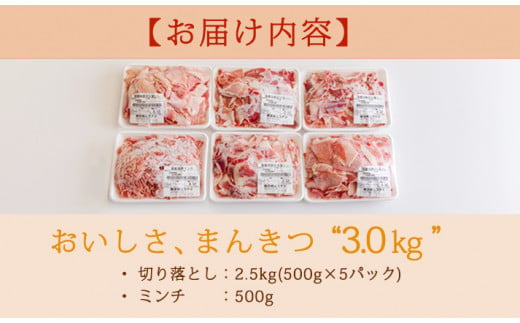 高原育ちの宮崎県産豚肉切り落とし＆ミンチ3kg おいしさ満喫 アレンジ色々 [夕食 お弁当 一人暮らし 万能食材 生姜焼き しゃぶしゃぶ ハンバーグ 餃子 肉巻き ミートソース 麻婆豆腐] TF0766-P00070