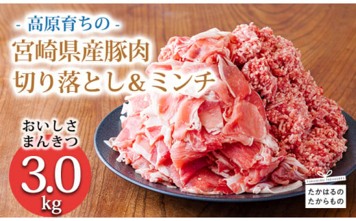 高原育ちの宮崎県産豚肉切り落とし＆ミンチ3kg おいしさ満喫 アレンジ色々 [夕食 お弁当 一人暮らし 万能食材 生姜焼き しゃぶしゃぶ ハンバーグ 餃子 肉巻き ミートソース 麻婆豆腐] TF0766-P00070