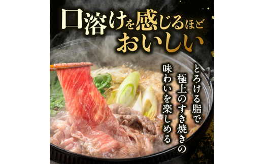 C41　近江牛 赤身 スライス 500g 佐乃屋精肉店 牛 牛肉 国産 和牛 ブランド牛 赤身 すき焼き しゃぶしゃぶ 炒め物 煮物 ギフト 贈り物 高級 人気 近江 東近江市 滋賀県