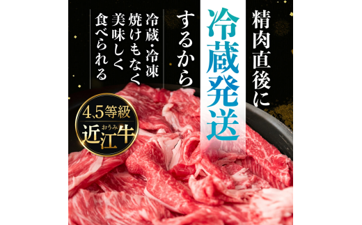 C41　近江牛 赤身 スライス 500g 佐乃屋精肉店 牛 牛肉 国産 和牛 ブランド牛 赤身 すき焼き しゃぶしゃぶ 炒め物 煮物 ギフト 贈り物 高級 人気 近江 東近江市 滋賀県