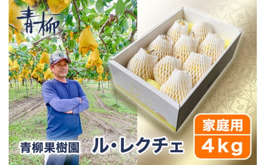 【2024年先行予約】新潟特産 幻の洋梨ル・レクチェ 家庭用 4kg（9〜11玉）《11月下旬から出荷》ルレクチェ 西洋梨 果物 フルーツ 冬の味覚 産地直送加茂市 青柳果樹園