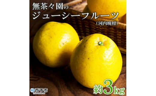 ＜無茶々園のジューシーフルーツ（河内晩柑）約3kg＞ 果物 フルーツ 選べる内容量 かわちばんかん みかん ミカン 蜜柑 柑橘 期間限定 季節限定 食べて応援 特産品 愛媛県 西予市 【常温】