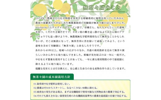 ＜無茶々園のジューシーフルーツ（河内晩柑）約3kg＞ 果物 フルーツ 選べる内容量 かわちばんかん みかん ミカン 蜜柑 柑橘 期間限定 季節限定 食べて応援 特産品 愛媛県 西予市 【常温】