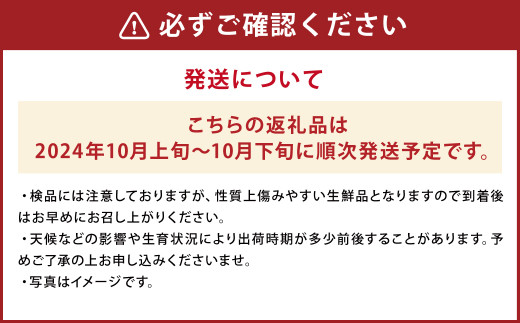 太秋柿 約3kg 8玉から14玉