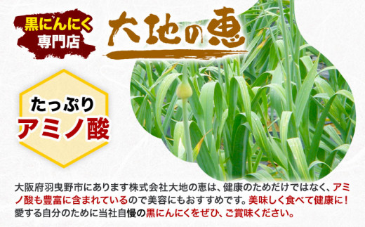 くろにんにく(そのままで) 500g《30日以内に出荷予定(土日祝除く)》大阪府 羽曳野市 ニンニク 黒ニンニク じゃんぼ大蒜 大蒜 健康 スタミナ