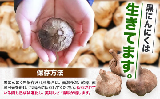 くろにんにく(そのままで) 500g《30日以内に出荷予定(土日祝除く)》大阪府 羽曳野市 ニンニク 黒ニンニク じゃんぼ大蒜 大蒜 健康 スタミナ