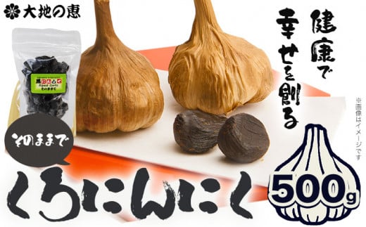 くろにんにく(そのままで) 500g《30日以内に出荷予定(土日祝除く)》大阪府 羽曳野市 ニンニク 黒ニンニク じゃんぼ大蒜 大蒜 健康 スタミナ