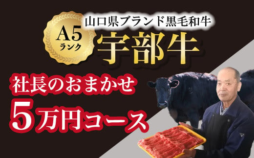 【山口宇部牛】社長おまかせ＜５万円コース＞黒毛和牛Ａ５ランク宇部牛【山口県 宇部市 牛 牛肉 黒毛 和牛 A5ランク ブランド 山口県唯一 地元発ブランド牛 希少 まちのお肉屋さん ストレスフリー オレイン酸60％以上 脂まで柔らかい おいしい 旨味 リピート】