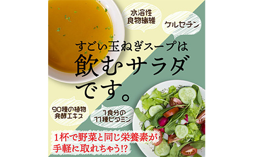 すごい玉ねぎスープ 合計2セット(4.8g×30食) 小分け 玉ねぎ スープ 料理 調味料 隠し味 食品 F20E-814