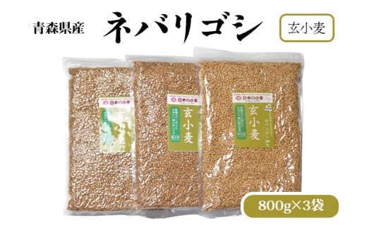 国産小麦 栽培期間中 農薬不散布 玄小麦 青森県産 ネバリゴシ 中力系 800g×3 製麺 や パン作りにおすすめ｜小麦 小麦粉 国産小麦粉 小麦粉セット パン用 パン 全粒粉 全粒小麦 [0572]