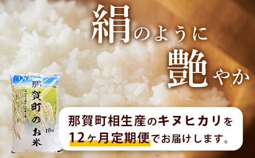 【定期便12回】那賀町のお米 キヌヒカリ10kg［徳島 那賀 国産 お米 こめ おこめ 米 10kg 10キロ 精米 ご飯 ごはん 白米 はくまい 白ごはん 白ご飯 和食 おにぎり お弁当 きぬひかり キヌヒカリ 父の日 敬老の日 お中元 お歳暮 ギフト プレゼント 送料無料］【YS-20】