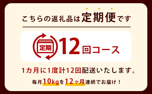 【定期便12回】那賀町のお米 キヌヒカリ10kg［徳島 那賀 国産 お米 こめ おこめ 米 10kg 10キロ 精米 ご飯 ごはん 白米 はくまい 白ごはん 白ご飯 和食 おにぎり お弁当 きぬひかり キヌヒカリ 父の日 敬老の日 お中元 お歳暮 ギフト プレゼント 送料無料］【YS-20】