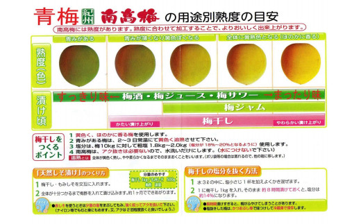 【梅干・梅酒用】大玉4Lサイズ約2kg 熟南高 生梅 赤秀品＜2025年6月上旬～7月7日発送予定＞【ART01】