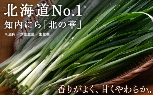 知内町産ニラとチーズのキッシュパイ 6個入り パイ キッシュ にら チーズ 北海道