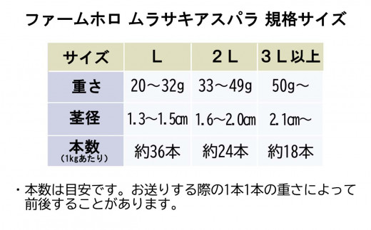 ＜先行予約＞ 北海道産 春採り ムラサキ アスパラガス 1kg 3Lサイズ 以上 ＜2024年5月上旬より発送＞  北海道 ムラサキアスパラ 旬 新鮮