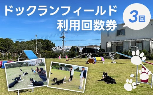  ドックランフィールド利用回数券（3回）  ふるさと納税  ドッグラン 利用券 チケット 犬 イヌ 千葉県 白子町 送料無料 SHAI006