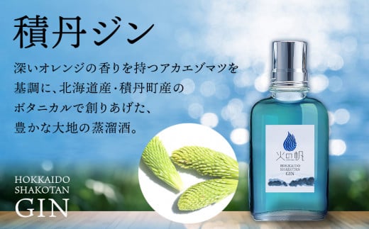 ジン 北海道 積丹 酒 蒸溜酒 アルコール 火の帆 KIBOU BLUE GIN 100ml 2本