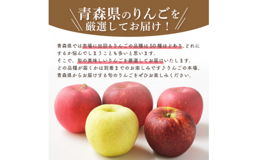 【2025年3月下旬発送】 【訳あり】旬の美味しいりんご 約15kg 青森産 【おまかせ2品種】