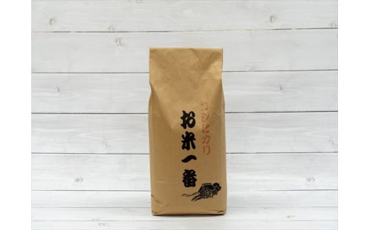 【定期便】加美区産【精米】５kg×12か月お届けします
