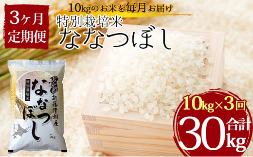 定期便 3ヵ月 北海道 特別栽培 令和6年産 ななつぼし 10kg 精米 米 白米 お米 新米 ごはん ご飯 ライス 道産米 ブランド米 新しのつ米 ふっくら 食味ランキング  産地直送 カワサキ森田屋 送料無料 新篠津 