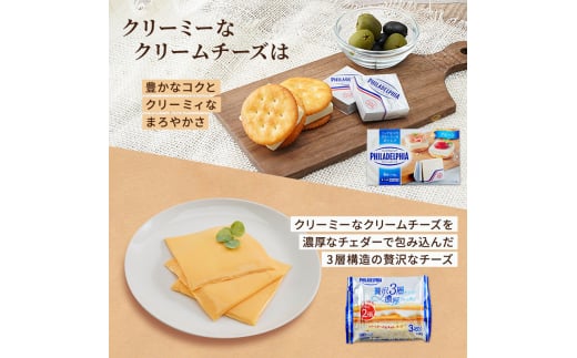 チーズセット 定期便 3ヶ月　家族で楽しむチーズセット 8個セット