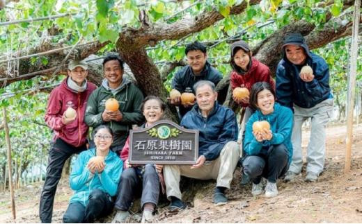 【終了】梨 2024年 先行予約 備前横綱梨（あたご梨） 超大玉2玉（1玉1.3kg～1.4kg）・備前乙女梨（鴨梨） 3～4玉 詰合せ 合計4.0kg以上 贈答箱 岡山県産 フルーツ ギフト 石原果樹園