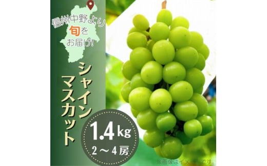 産地直送!信州中野市産シャインマスカット 1.4kg以上(2～4房)【1534768】