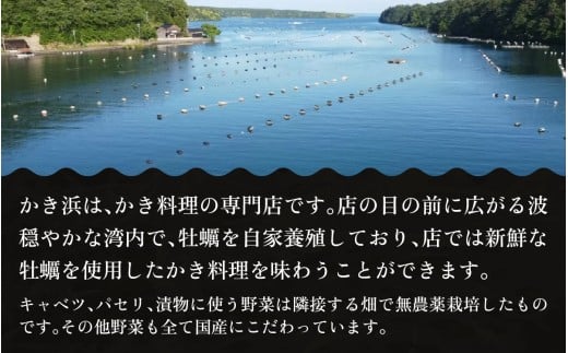 【先行予約】奥能登・穴水町『かき浜』牡蠣フルコース お食事券（1名様分）【2026年1月以降順次発送予定】 | 奥能登 能登半島 穴水町 牡蠣 かき 牡蠣料理 お食事券 牡蠣グルメ 食事券 牡蠣づくしコース ランチ ディナー フルコース