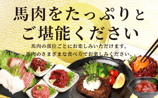 【2024年11月発送】6種馬肉バラエティ 約540g タレ付き 食べ比べ 冷凍 赤身 031-0437-11