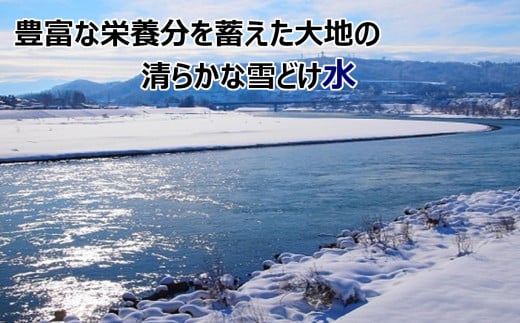 小千谷は日本有数の豪雪地帯。ミネラルなどの豊富な栄養分を蓄えた大地の清らかな雪どけ水が田んぼを潤し立派で健やかな稲に成長します。