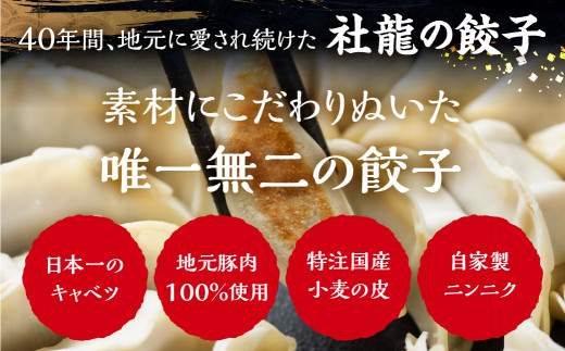 青うなぎ＆餃子  渥美半島よくばりセット 年内 蒲焼き 鰻 ウナギ うなぎ蒲焼 惣菜 幻 簡単調理 おいしい 高評価 ふるさと納税 魚 さかな 魚介 ランキング ぎょうざ ギョウザ おかず ふるさとチョイス キャンペーン おすすめ 