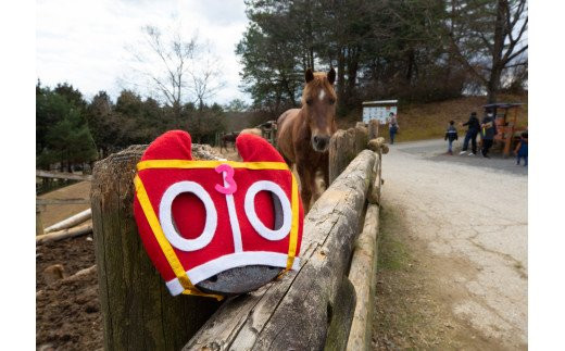 勝利のホースシューは、にんにんホーススクールのお馬さんに見守られて誕生しました。