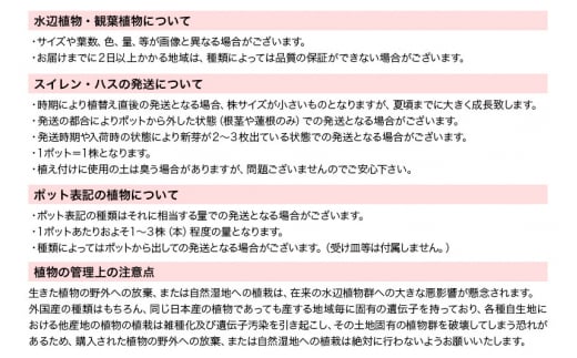 水辺植物 ビオトープレイアウトセット（ガガブタ+水辺植物3種 あぜなみ付）