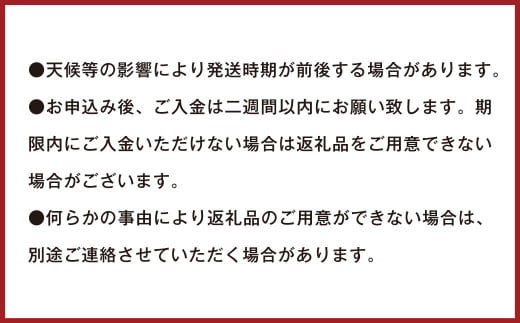 【訳あり】 ご家庭用 濃厚不知火 25～40玉 （ 約8kg ）