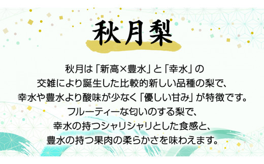 《 先行予約 》 茨城県産 梨 秋月 （ 約5kg ） 【 2024年8月末頃発送予定】 あきづき アキヅキ フルーツ 果物 なし ナシ 旬 新鮮 旬 期間限定 国産